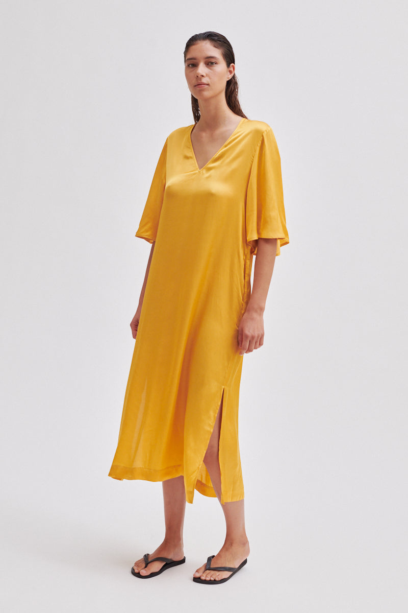 Lucente Dress