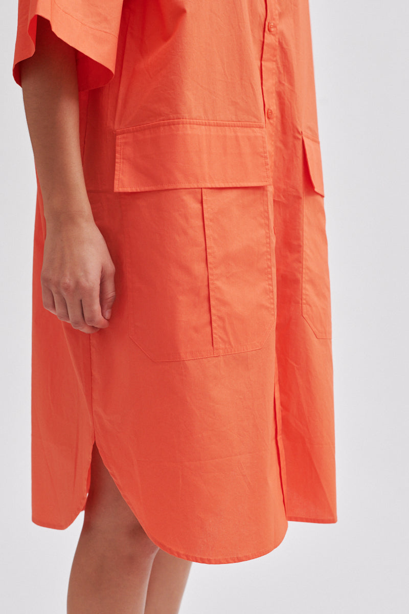 Aluline SS Dress