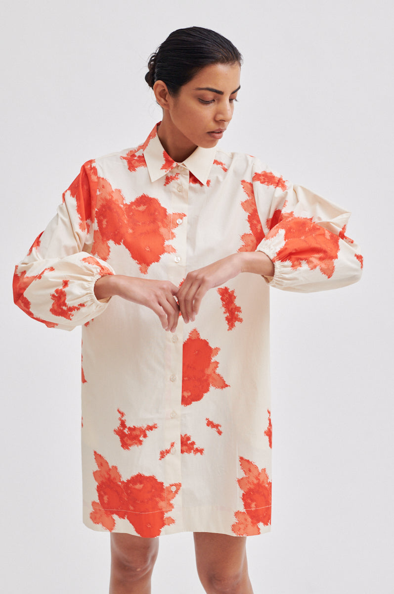 Fridenza Tunic Dress